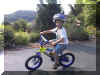 new_bike1.jpg (81138 bytes)